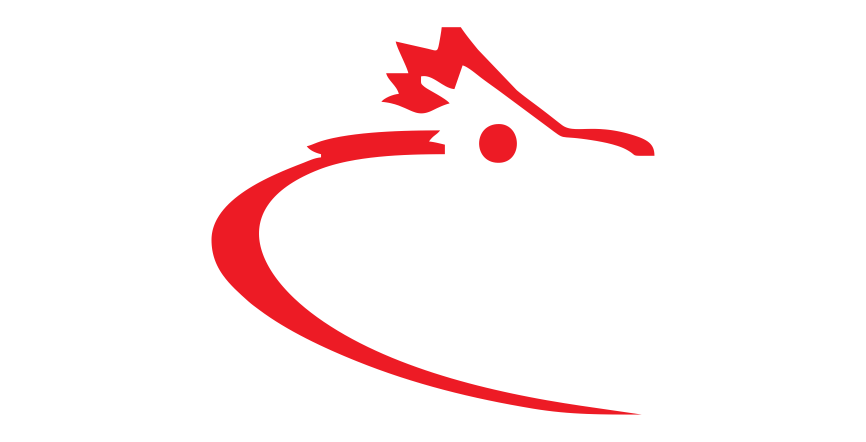 jasa pembuatan landing page